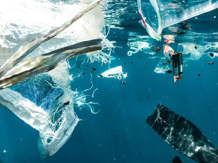 underwater scene of ocean filled with plastic and other trash