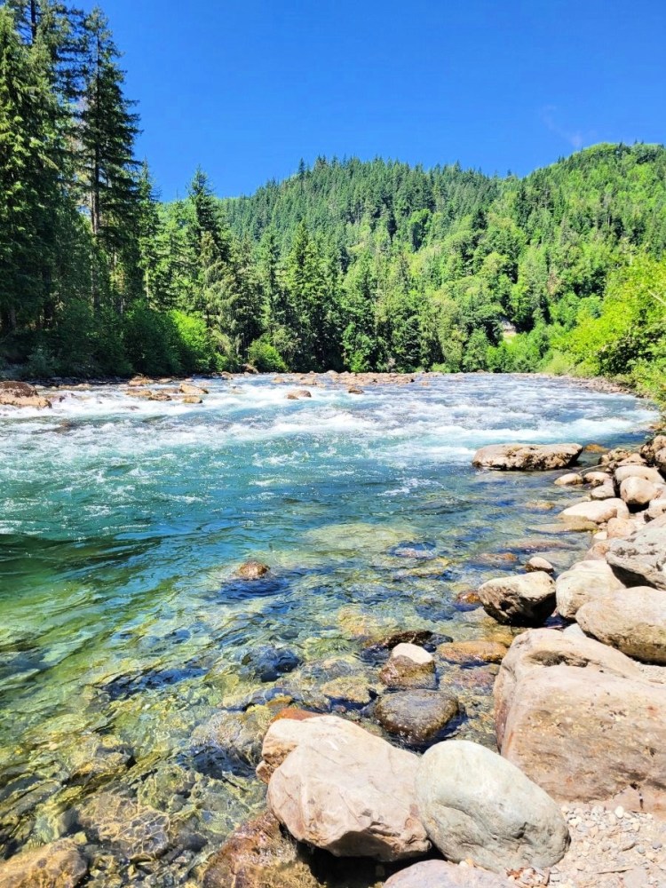 picture of Snoqualmie River, WA. The photo shows a pristine river surrounded by vibrant green evergreen trees